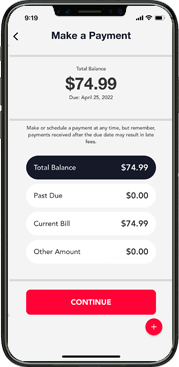 View Bills and Choose Payment Preference